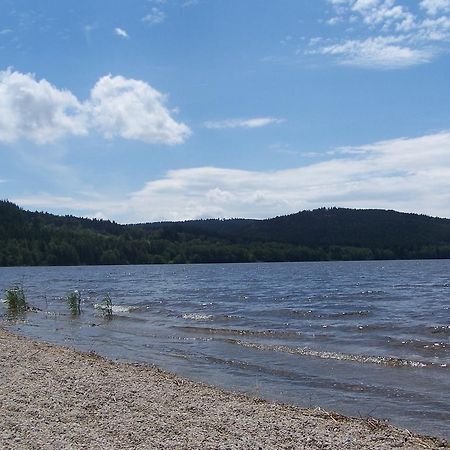 Apartment Lipno Lipno nad Vltavou Luaran gambar
