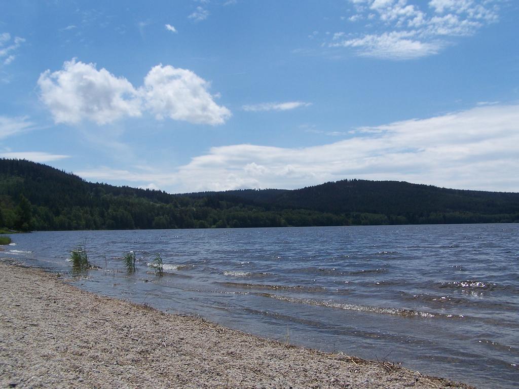 Apartment Lipno Lipno nad Vltavou Luaran gambar
